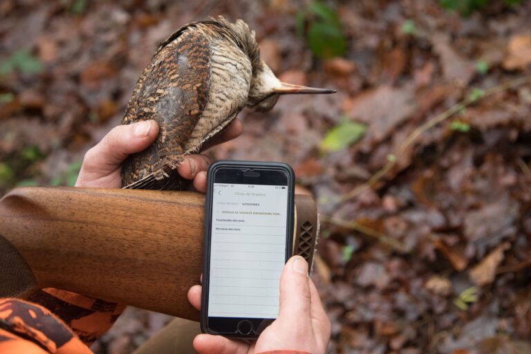 Enquête Nationale sur les prélèvements de chasse